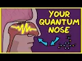 Lagu You Use Quantum Physics to Smell