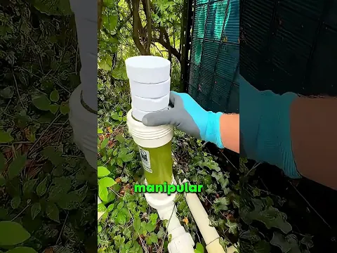 NUNCA LE HAGAS ESTO A TU PISCINA!! 😯