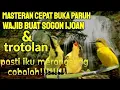 Download Lagu suara terapi sogon ijoan ,trotolan\u0026 sogon pikat  !!!!! pasti bunyi
