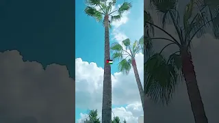 ديانا كرزون الهوية اردنية 