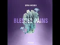 Download Lagu Spin Worx - Blessed Pains