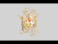 Pymol Scripting Lesson1 Use the pymolrc py file to have Pymol looking great right out of the box