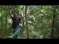 Download Lagu Primitive Tree-Powered Trap Strong Enough for Wild Boars