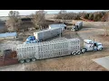 Sale Day 3 Semi Loads of Calves