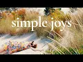 Download Lagu My Simple Life in France - Seaside Living in Corsica