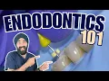 Endodontics Basics - Foundations of RCT