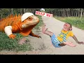 Download Lagu Brave Monkey Su Saves an Injured Salamander l Animal Love Reaction