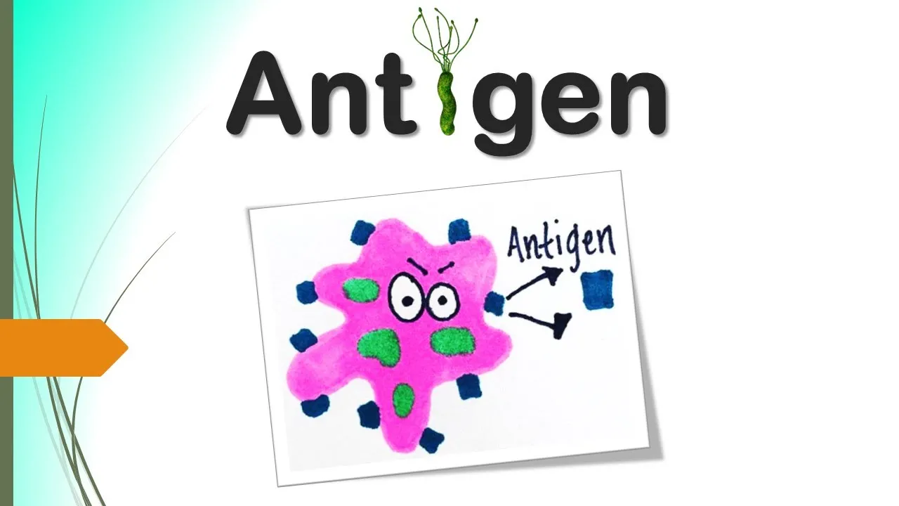 COVID-19 Antigen Test: Step-by-Step Demo - Rapid Response®. 