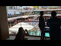 Carnival Magic Cookie Cruise Director