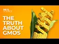 Download Lagu The Truth About GMOs
