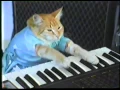 Play Him Off Keyboard Cat by Charlie Schmidt