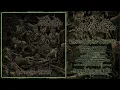 Download Lagu Infibulated - Diabolical Euphoric Subjugation [Debut Full-Length] (Blasting Brutal Death Metal)