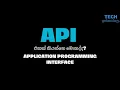 What is an API Sinhala
