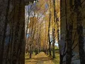 Download Lagu Autumn