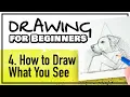 Download Lagu DRAWING FOR BEGINNERS Part 4: How to Draw What You See