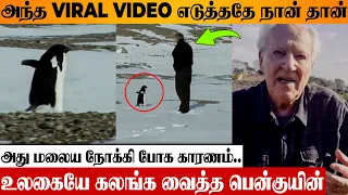 viral penguin video tragic decision reason werner herzog about documentary walks to mountain