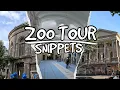 Download Lagu Artis: a 140-year old aquarium under renovation! | Zoo Tour Snippets ✂