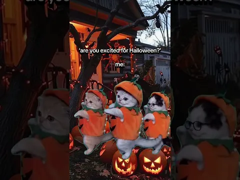 La Calabaza funny Halloween Meme dancing viral cats #shorts #lacalabaza