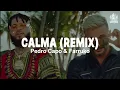 Pedro Capó & Farruko - Calma (Remix) (Letra)