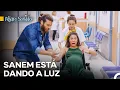 Download Lagu Tuve Un Hijo Del Que Dije Que No Era Para Mí - Pájaro Soñador