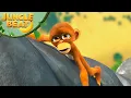 Download Lagu Don't Fall Down the Cliff... | Jungle Beat: Munki \u0026 Trunk | Kids Cartoon 2025