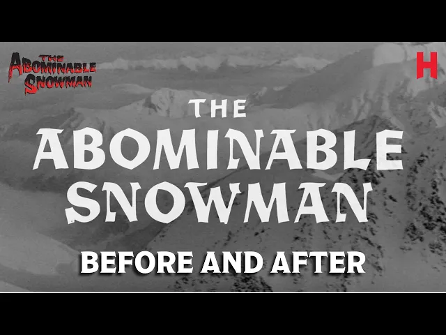 background images