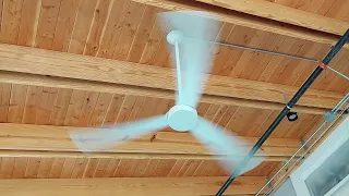 62 Minka Aire Roto XL Ceiling Fans Feat Brian-FanofFans17 Alex The Fan Man