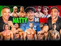 NATTY OR NOT EXPOSING Fitness Influencers ft Greg Doucette Durrah