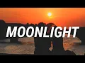 dhruv - moonlight (Lyrics)