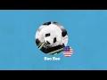 Giant Panda Saving from Extinction