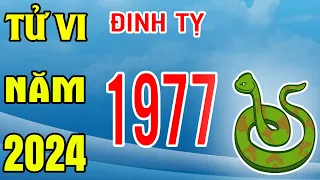 Download Tử Vi Tuổi Đinh Tỵ 1977 Năm 2024 Giáp Thìn MP3