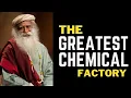 Download Lagu The Greatest Chemical Factory #sadhguru