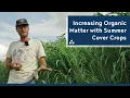 Increasing Organic Matter with Summer Cover Crops - Practical Cover Croppers