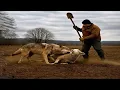 Download Lagu Virale gekke video aller tijden | Mislukkingen van de week 2025 😂🔥 | Grappige compilatie