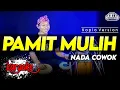 Download Lagu PAMIT MULIH KARAOKE NADA COWOK / PRIA VERSI KOPLO FULL JAPP HIGH QUALITY AUDIO CLARITY