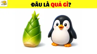 Thử Tài Phán Đoán ĐUỔI HÌNH BẮT CHỮ chủ đề các loại quả | Nhanh Trí