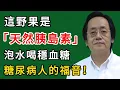 Download Lagu 倪海廈：這野果是“天然胰島素”，泡水喝穩血糖，糖尿病人的福音！#倪海廈#倪師#養生#中醫調理#中醫食療#倪師智慧學堂