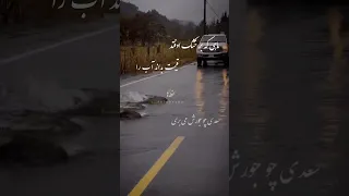 ماهی که بر خاک افتد قدر بداند آب را 