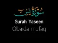 Download Lagu Surah Yasin (Yaseen) | Beautiful Quran Recitation by Obaida mufaq | Tilawat e Quran Surat Yaseen