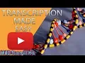 Transcription Made Easy - From DNA to RNA 2019