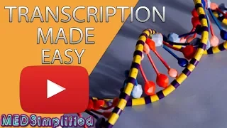 Transcription Made Easy - From DNA to RNA 2019