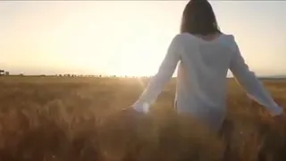 منير الكينج ياللي بتسال عن الحياه عيشها كد زي ماهي   حالات واتس رومانسي دندنها
