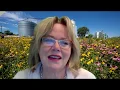 Message from ISCPA CEO Cindy Adams