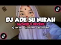 DJ ADE SU NIKAH MENGKANE - Viral Di Fyp Tik Tok