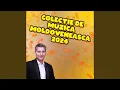 Lagu Super colaj muzica populara si de petrecere 2024