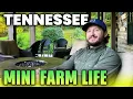 Tennessee Mini Farms for Sale Best Places to Live Buy Land Start Farm Life
