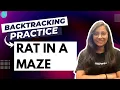 Rat in a maze Backtracking algorithm playlist