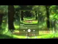 Chezile - Beanie Instrumental by Penguin Piano (1 Jam/ 1 Hour Loop) #instrumental #piano
