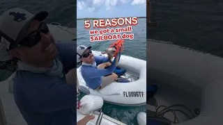 5 reasons we decided to get a Yorky, instead of a Labrador for our Sailboat #sailingbyefelicia