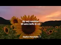 Download Lagu Christina Perri \\\\ You are my sunshine.